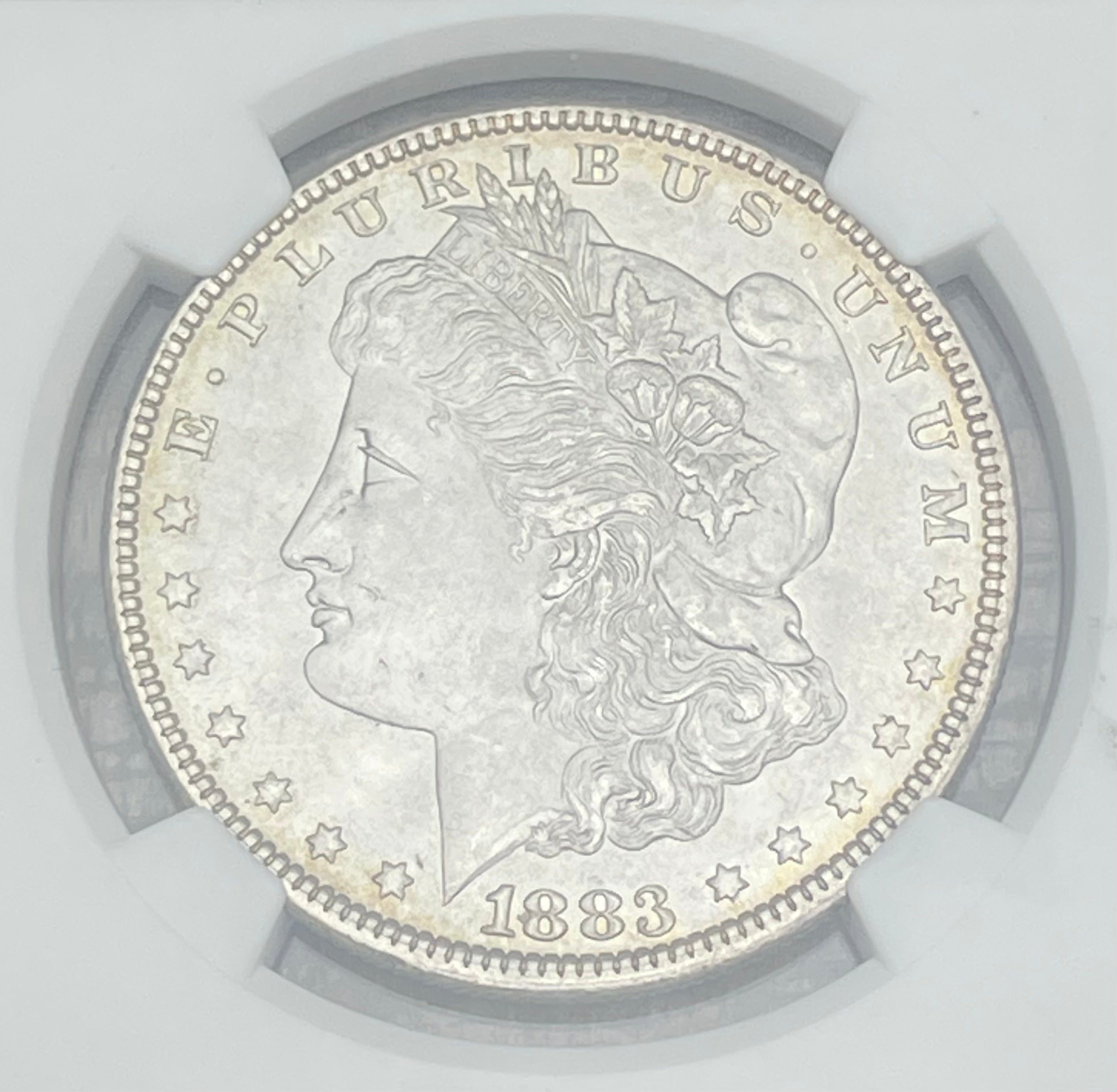 1883 $1 US Morgan Silver Dollar NGC MS65