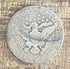 1909-D 25C US Barber Quarter