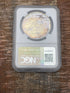 1927 D $1 US Silver Peace Dollar ~ NGC AU Details ~ Artificial Toning ~ Beautifully Toned