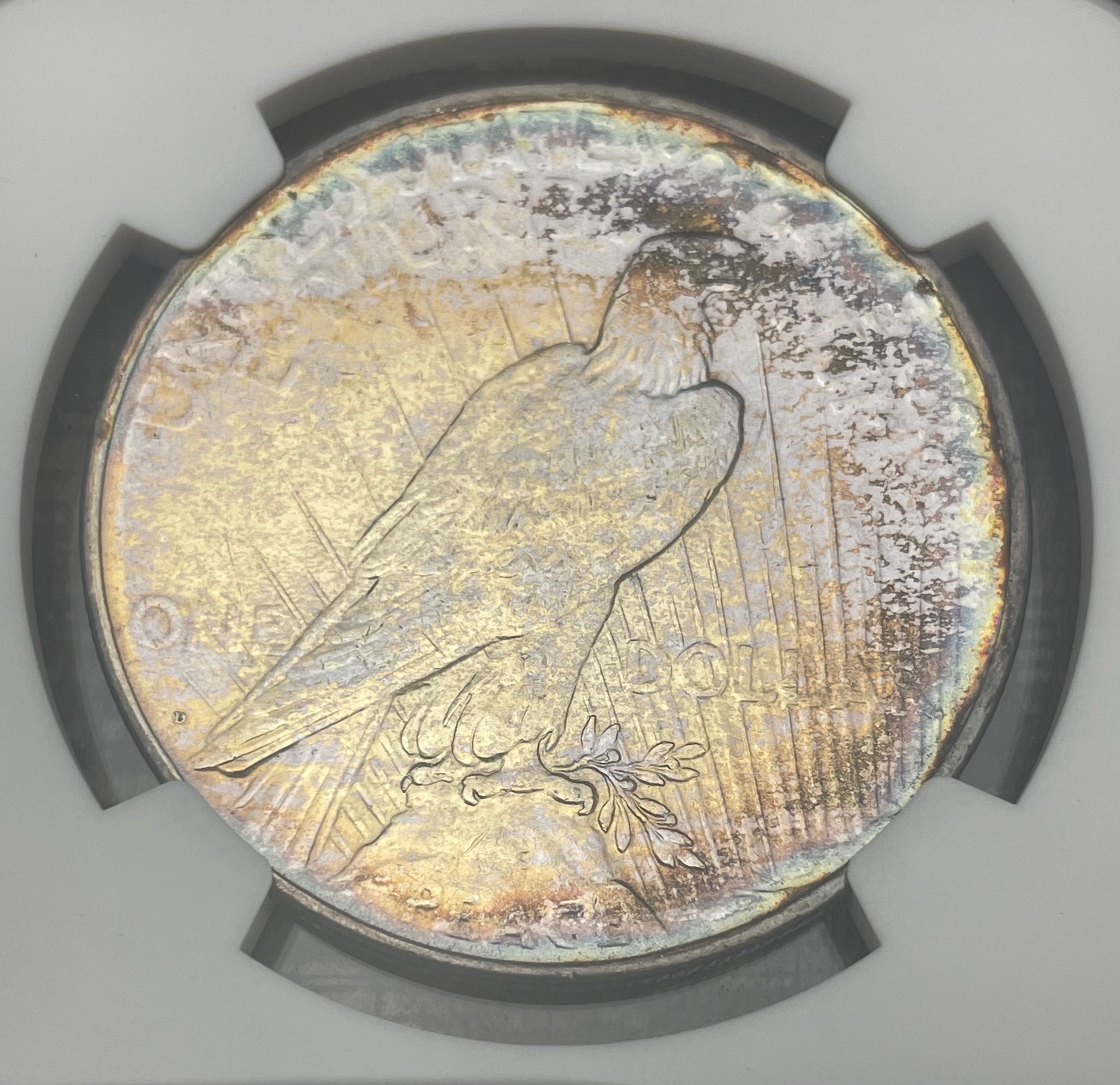1927 D $1 US Silver Peace Dollar ~ NGC AU Details ~ Artificial Toning ~ Beautifully Toned