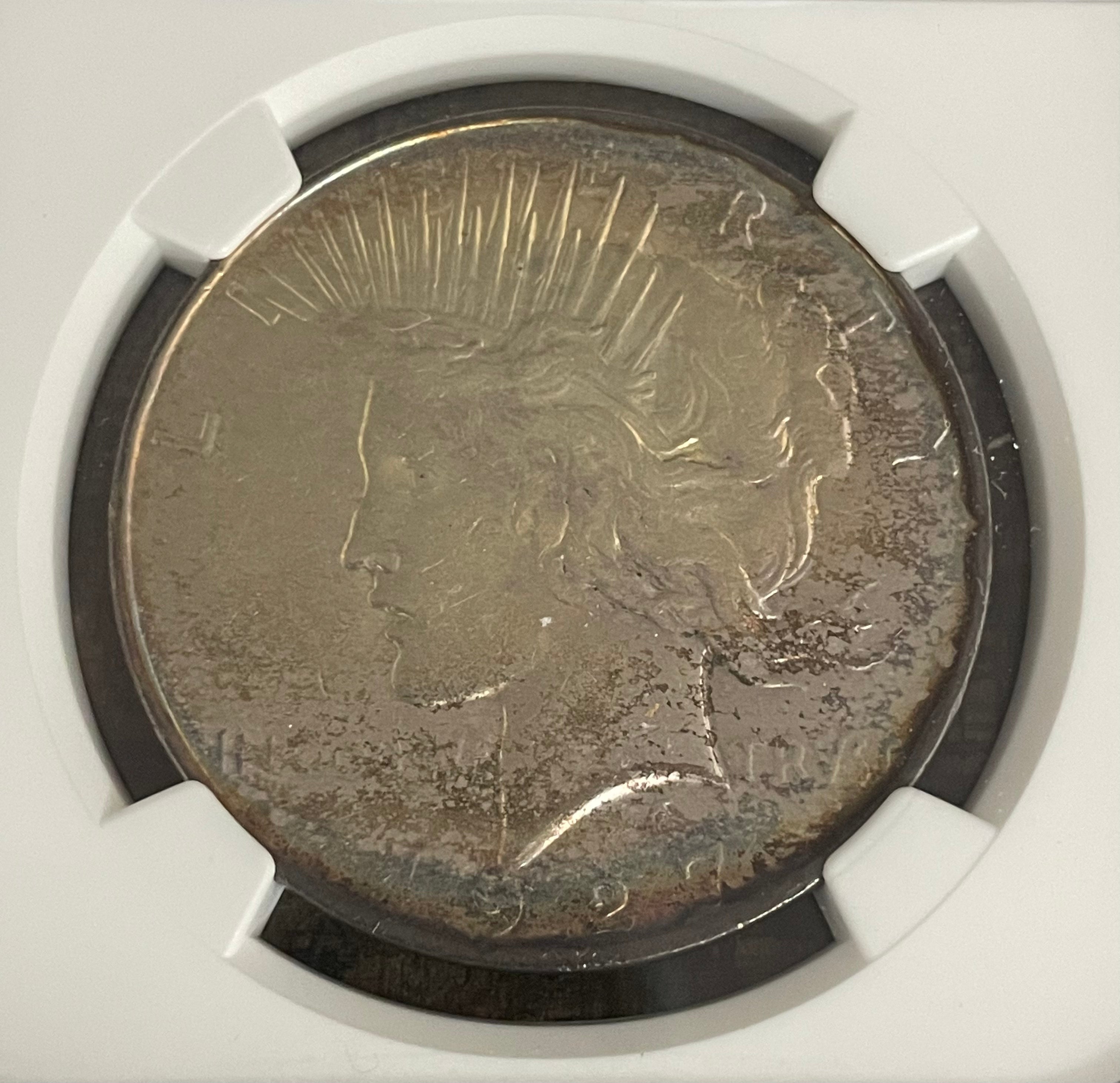 1927 D $1 US Silver Peace Dollar ~ NGC AU Details ~ Artificial Toning ~ Beautifully Toned