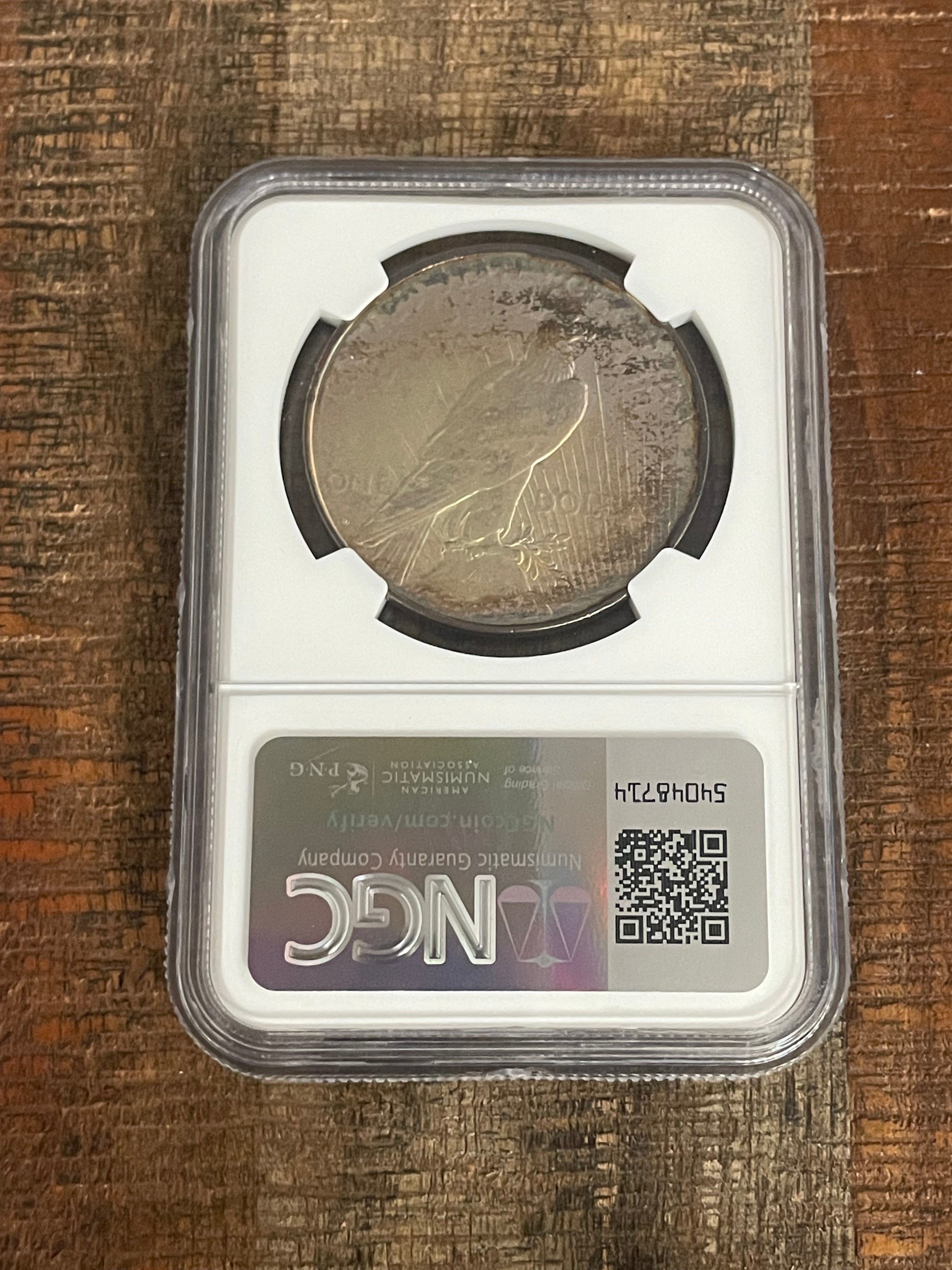 1927 D $1 US Silver Peace Dollar ~ NGC AU Details ~ Artificial Toning ~ Beautifully Toned