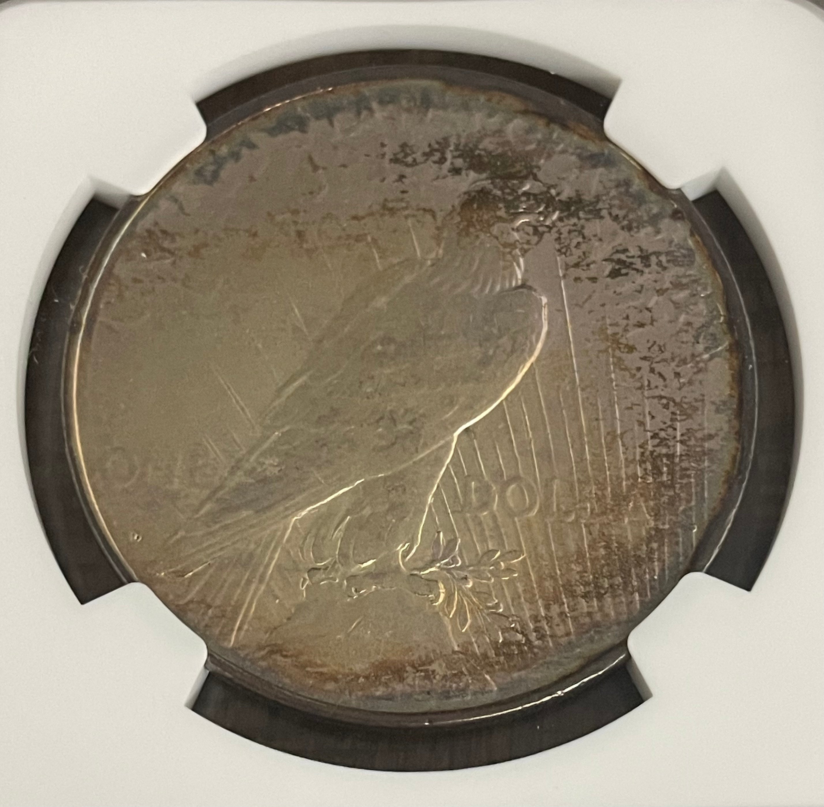 1927 D $1 US Silver Peace Dollar ~ NGC AU Details ~ Artificial Toning ~ Beautifully Toned