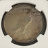 1927 D $1 US Silver Peace Dollar ~ NGC AU Details ~ Artificial Toning ~ Beautifully Toned
