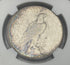 1924-S $1 US Peace Dollar NGC AU Details ~ Artificial Toning ~ Beautiful Toning