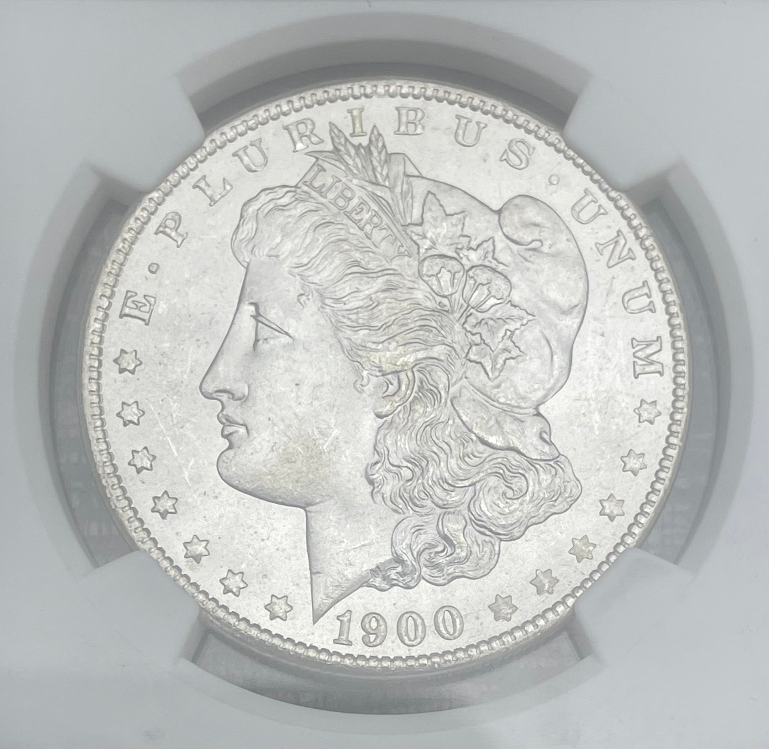 1900-O $1 US Morgan Silver Dollar~TOP-100~ VAM-15 DDO STARS NGC MS64