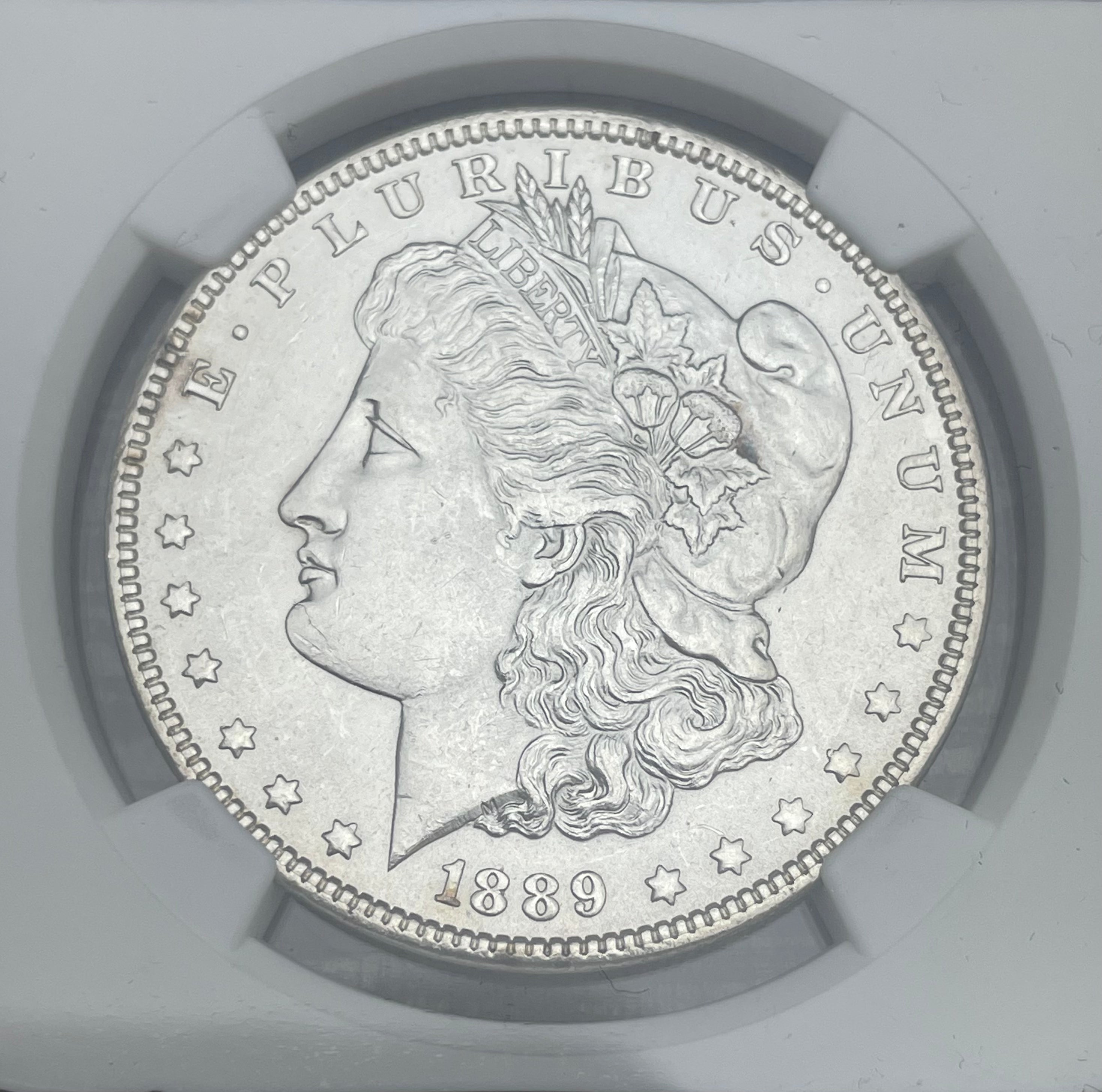 1889 $1 US Morgan Silver Dollar ~ Top-100 ~ VAM-22 BAR WING ~ NGC AU Details - Cleaned