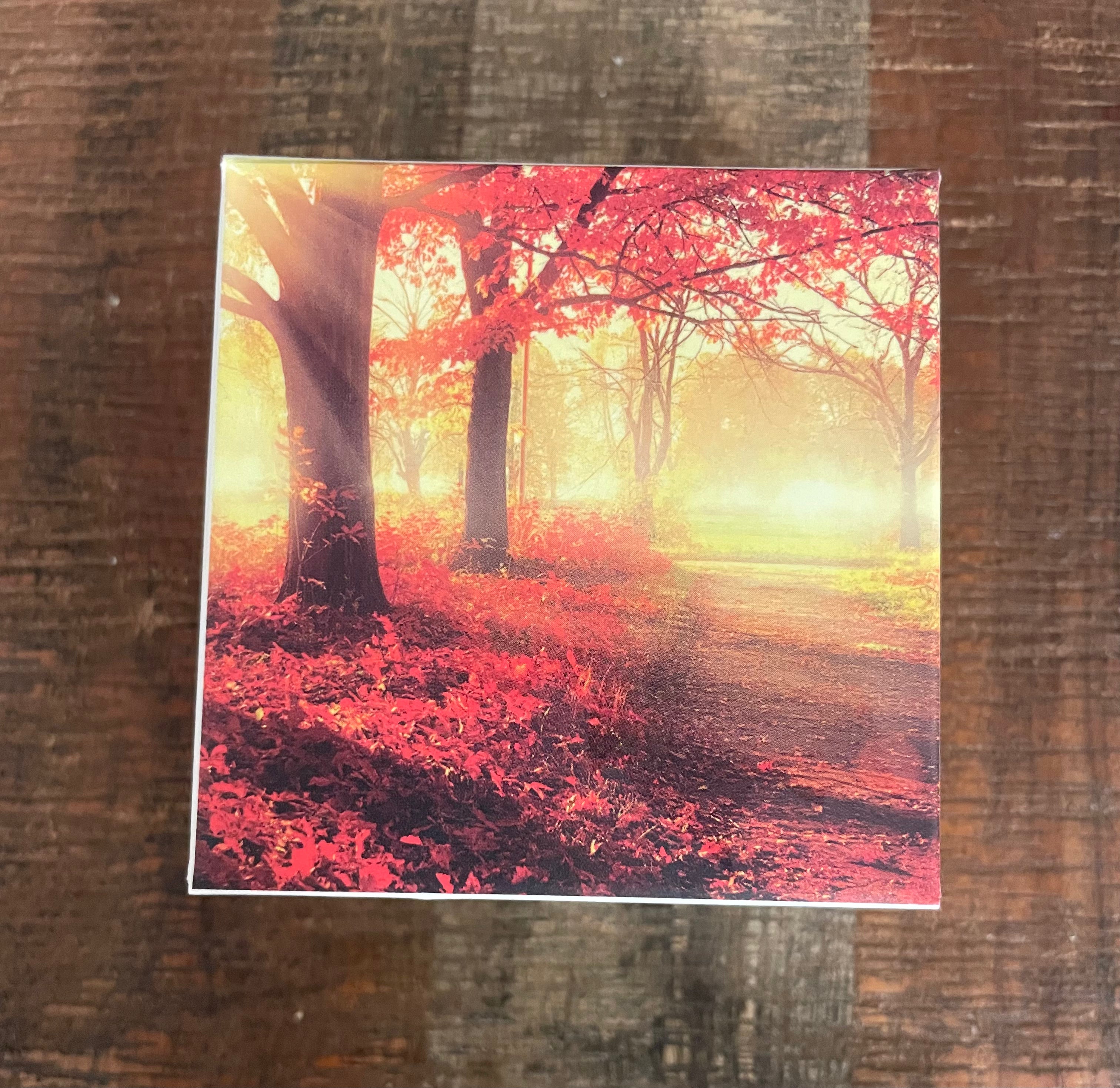 2019 $10 Reverse Proof Red Maple Leaf Twig ~ 1/2 oz of .9999 Silver ~  In OGP with COA