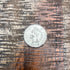 1900 1C US Indian Head Cent~ Silver Colored ~ Full Liberty