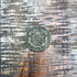 1857 1c Flying Cent