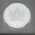 2019 Pride of Two Nations Set ~ ~ FDOI ~ NGC Graded ~ Canada MODIFIED PF70 ~ American ENCHANCED REV PF70