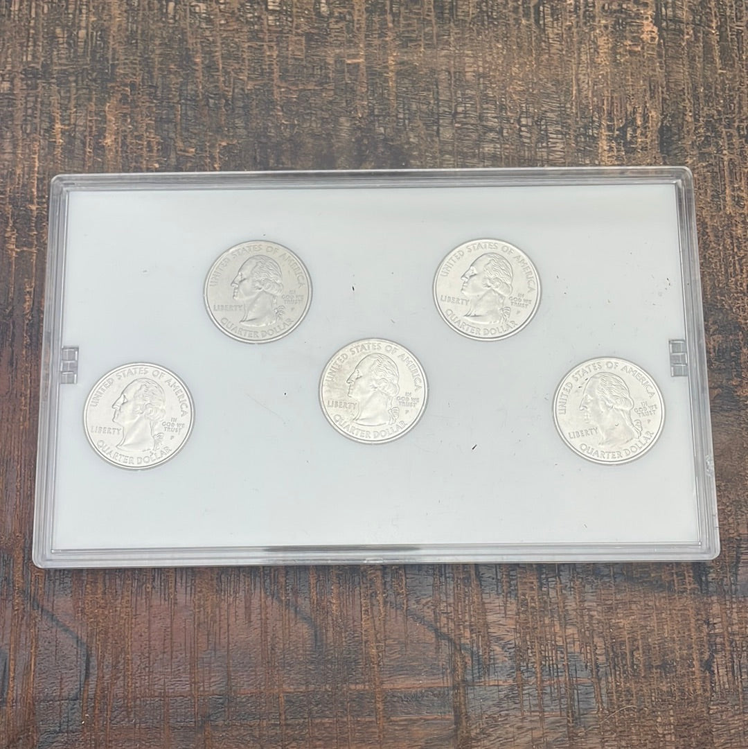2004 Platinum Edition State Quarter Collection in OGP