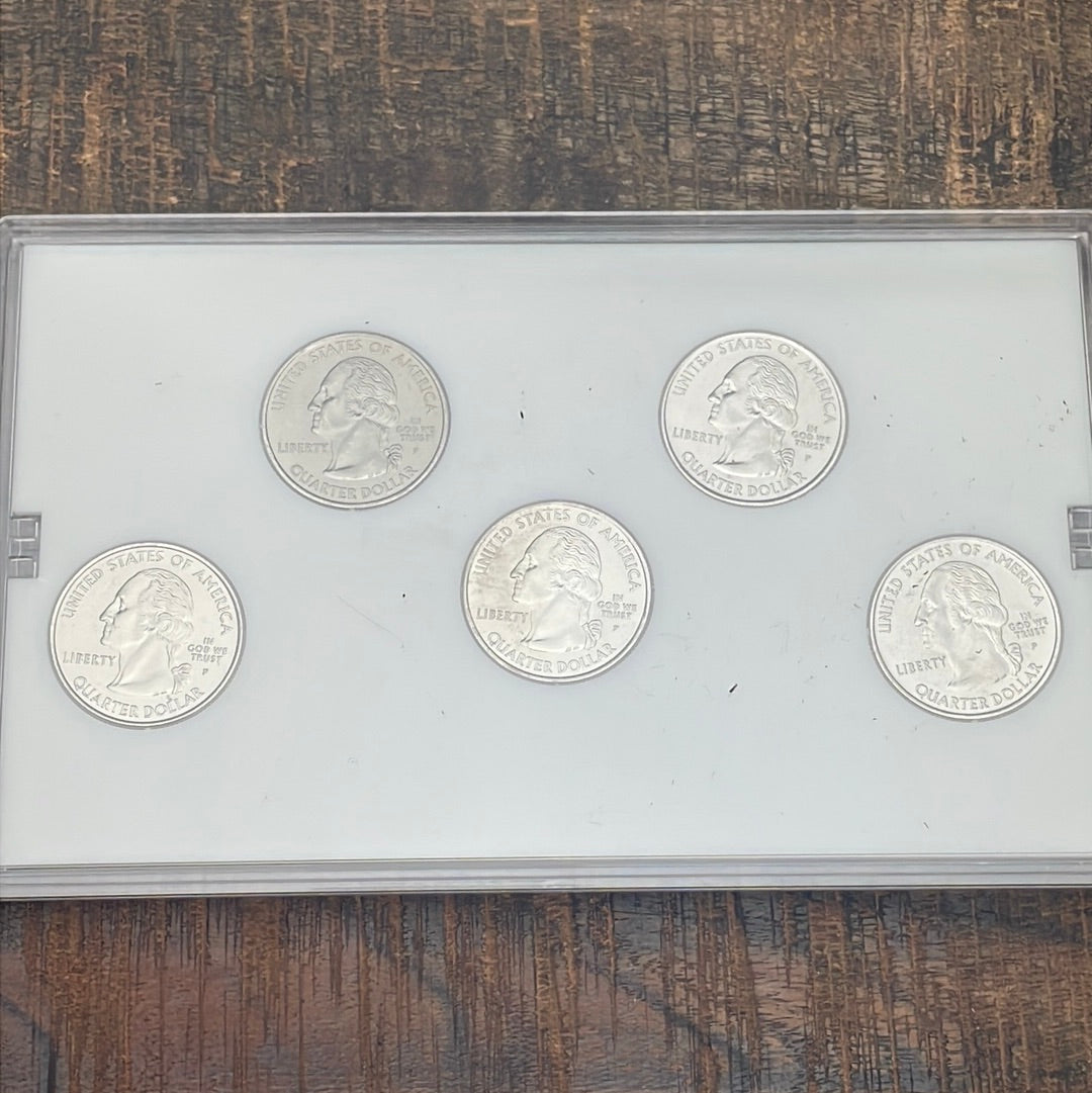 2004 Platinum Edition State Quarter Collection in OGP