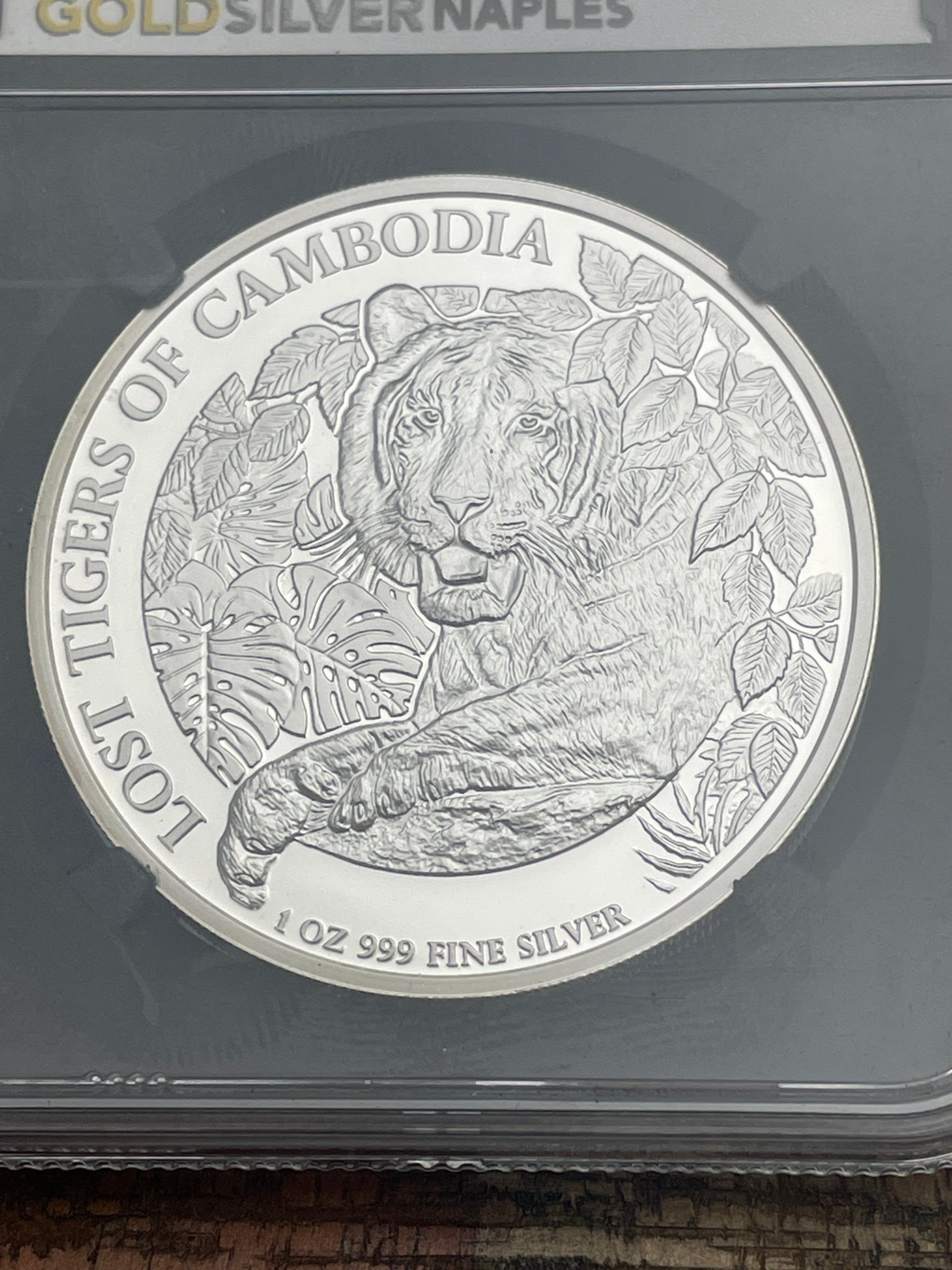 2024 Cambodia 3000 Riels Lost Tiger 1oz .999 Fine Silver NGCX 10