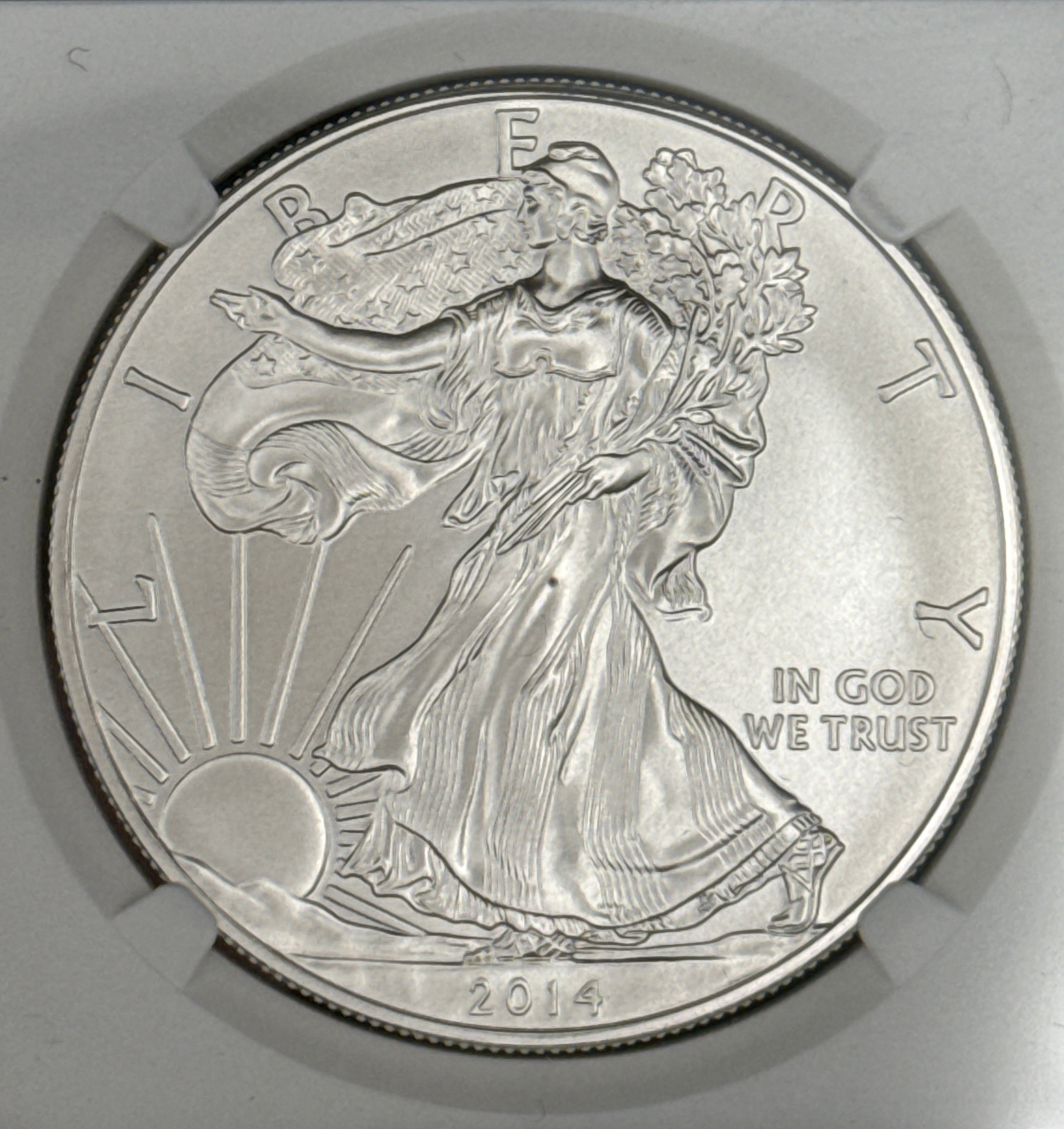 2014-W $1 American Silver Eagle ~ Burnished ~ NGC graded MS70
