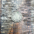 1858 1c Flying Cent ~ Small Letters