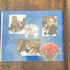 Christmas Around the World Coin Book with coins