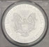 2010 $1 US Silver Eagle ~ PCGS MS69~First Strike