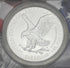 2022 US American Silver Eagle ~ ANACS MS70 ~ First Strike Coin