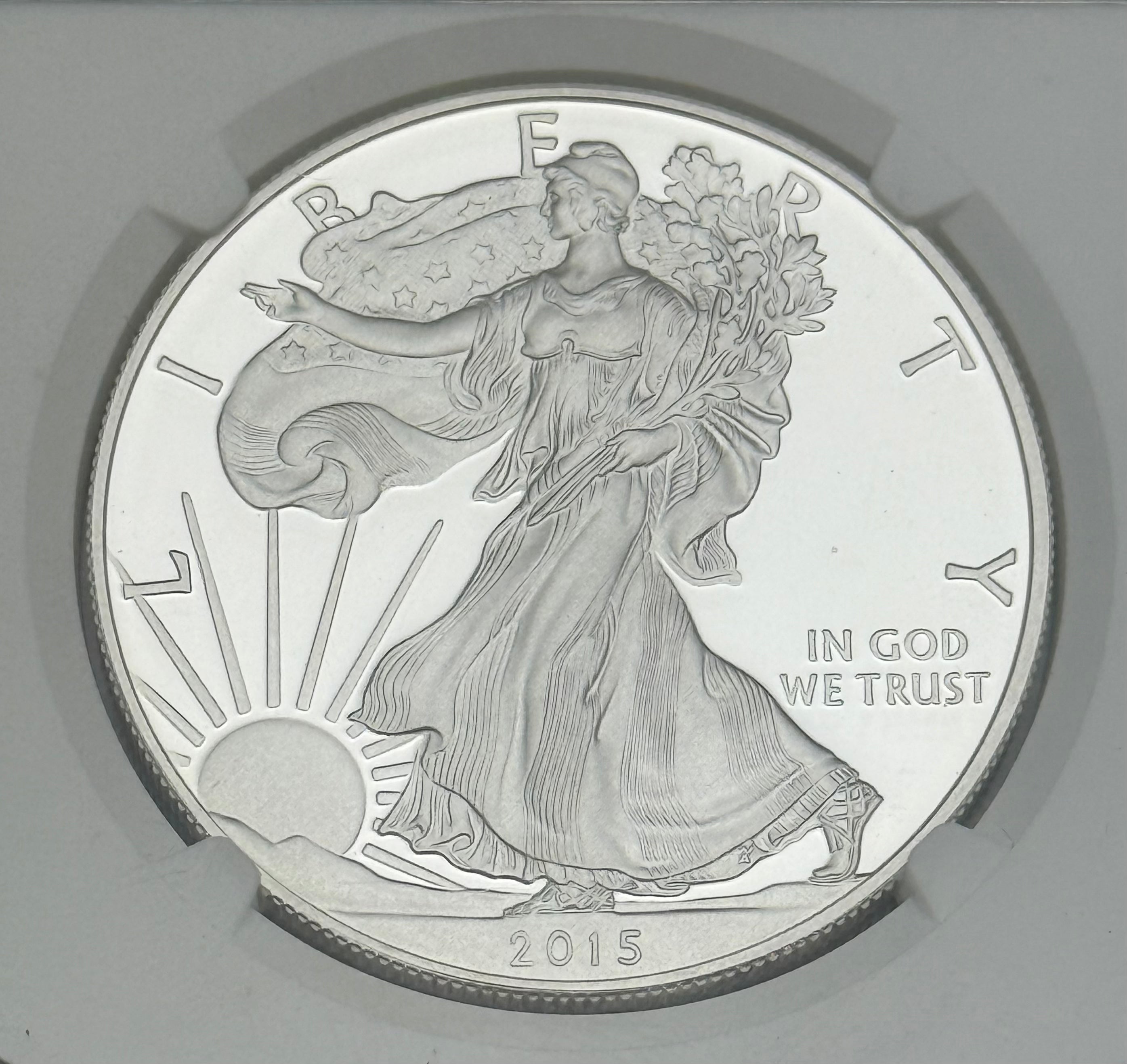 2015-W $1 US American Proof Silver Eagle  ~ First Day Releases ~ Fun Show ~ NGC PF69 Ultra Cameo
