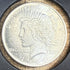 1924 $1 US Silver Peace Dollar