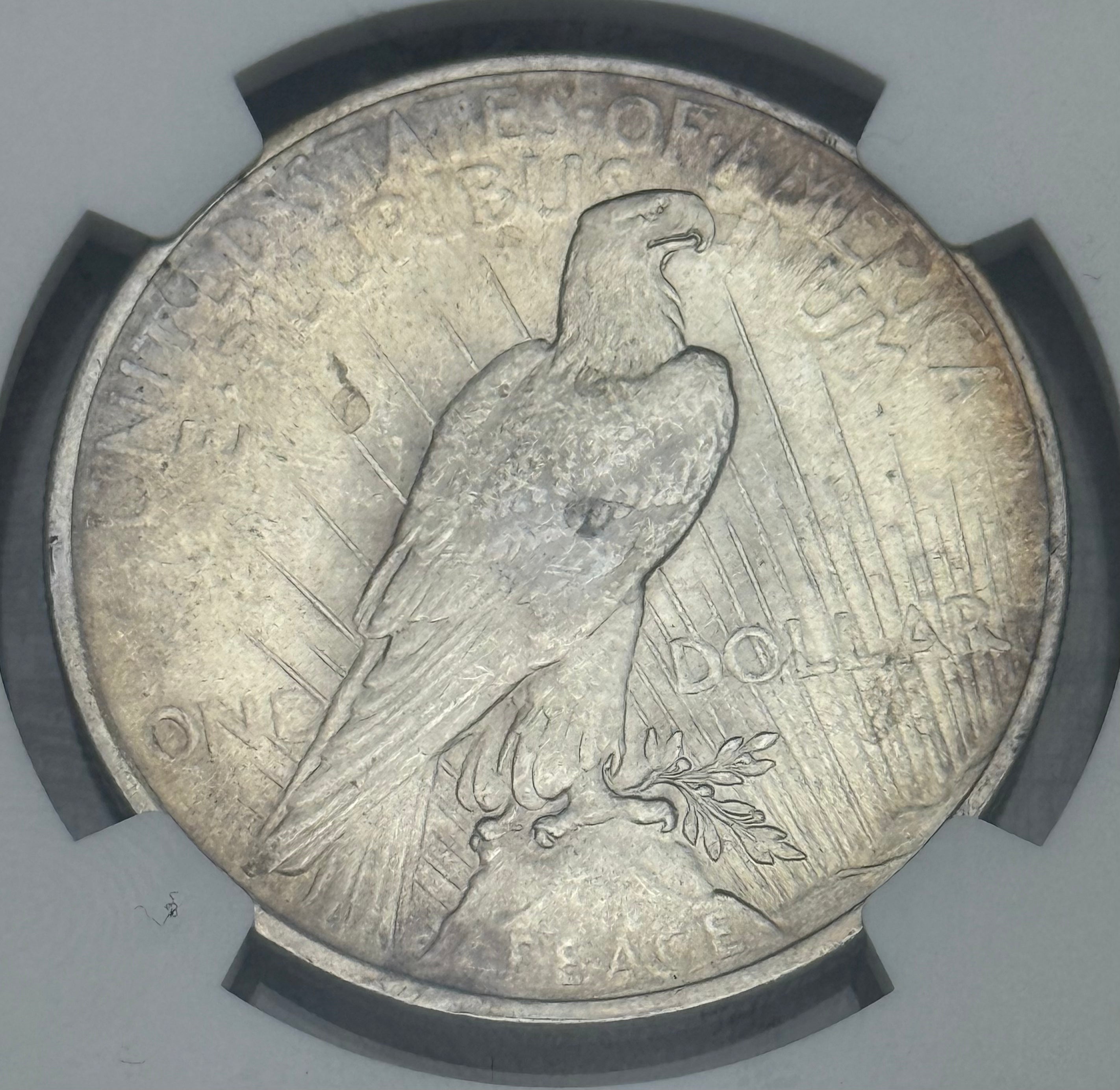 1924 $1 US Peace Dollar NGC UNC Details ~ Cleaned
