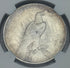 1924 $1 US Peace Dollar NGC UNC Details ~ Cleaned