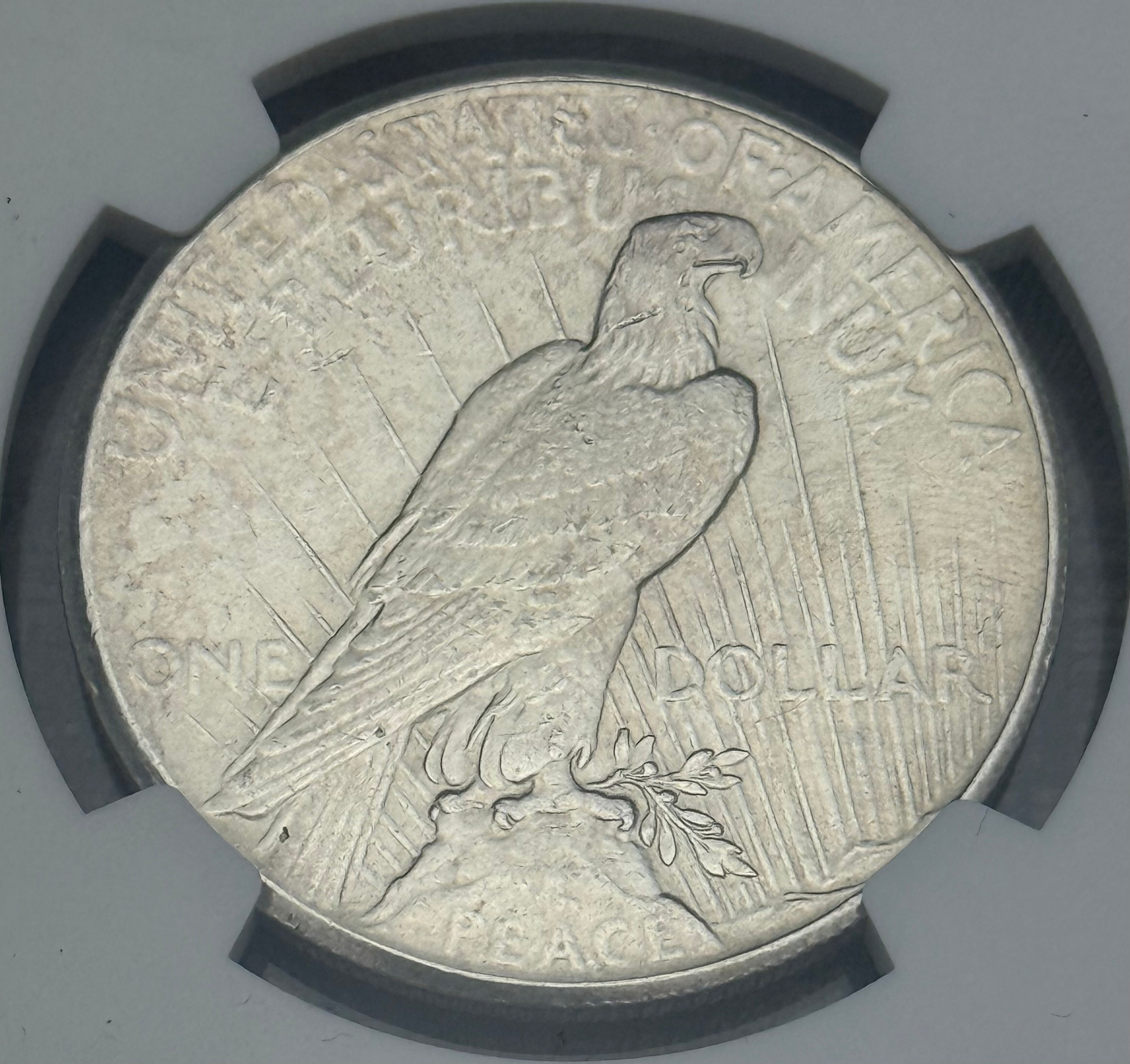 1926 $1 US Silver Peace Dollar ~ NGC UNC  Details-Cleaned