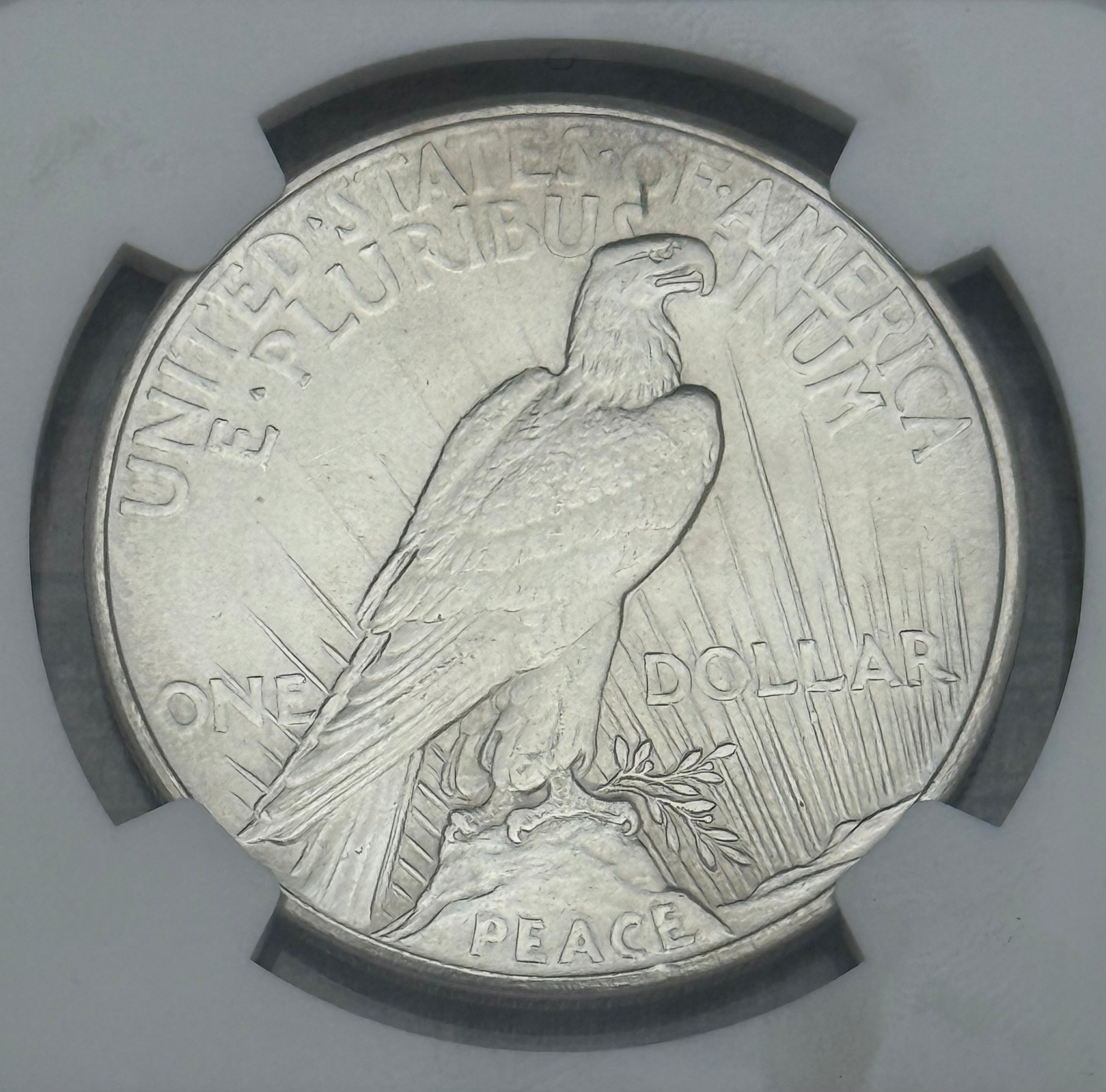 1921 $1 US Silver Peace Dollar ~ High Relief ~ NGC UNC Details-Cleaned ~ KEY DATE