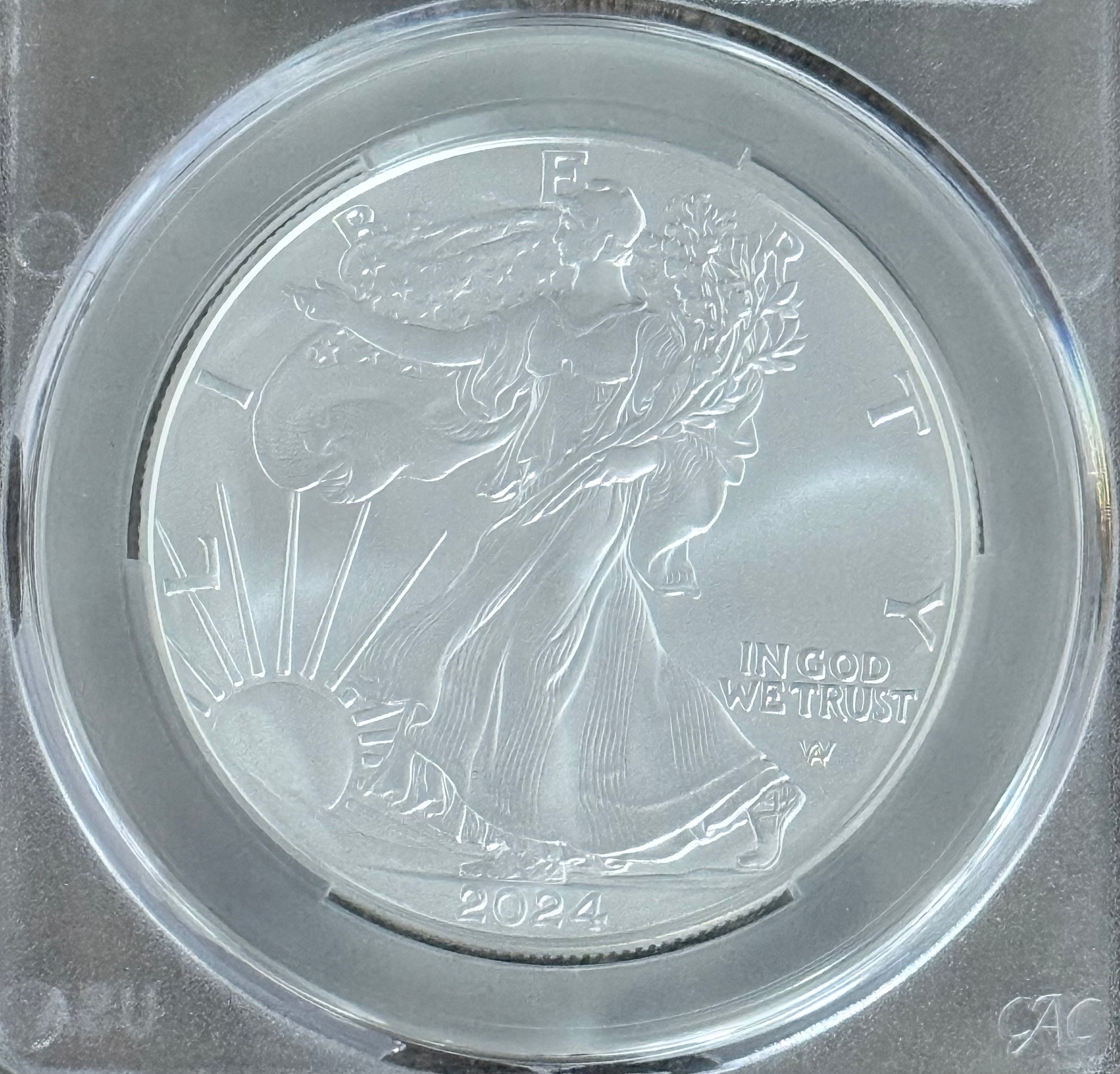 2024 W $1 US American Silver Eagle ~ CAC MS70 ~ First Delivery ~ Don't Tread on Me Label