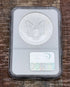 2004 $1 US American Silver Eagle NGC MS69