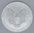 2004 $1 US American Silver Eagle NGC MS69