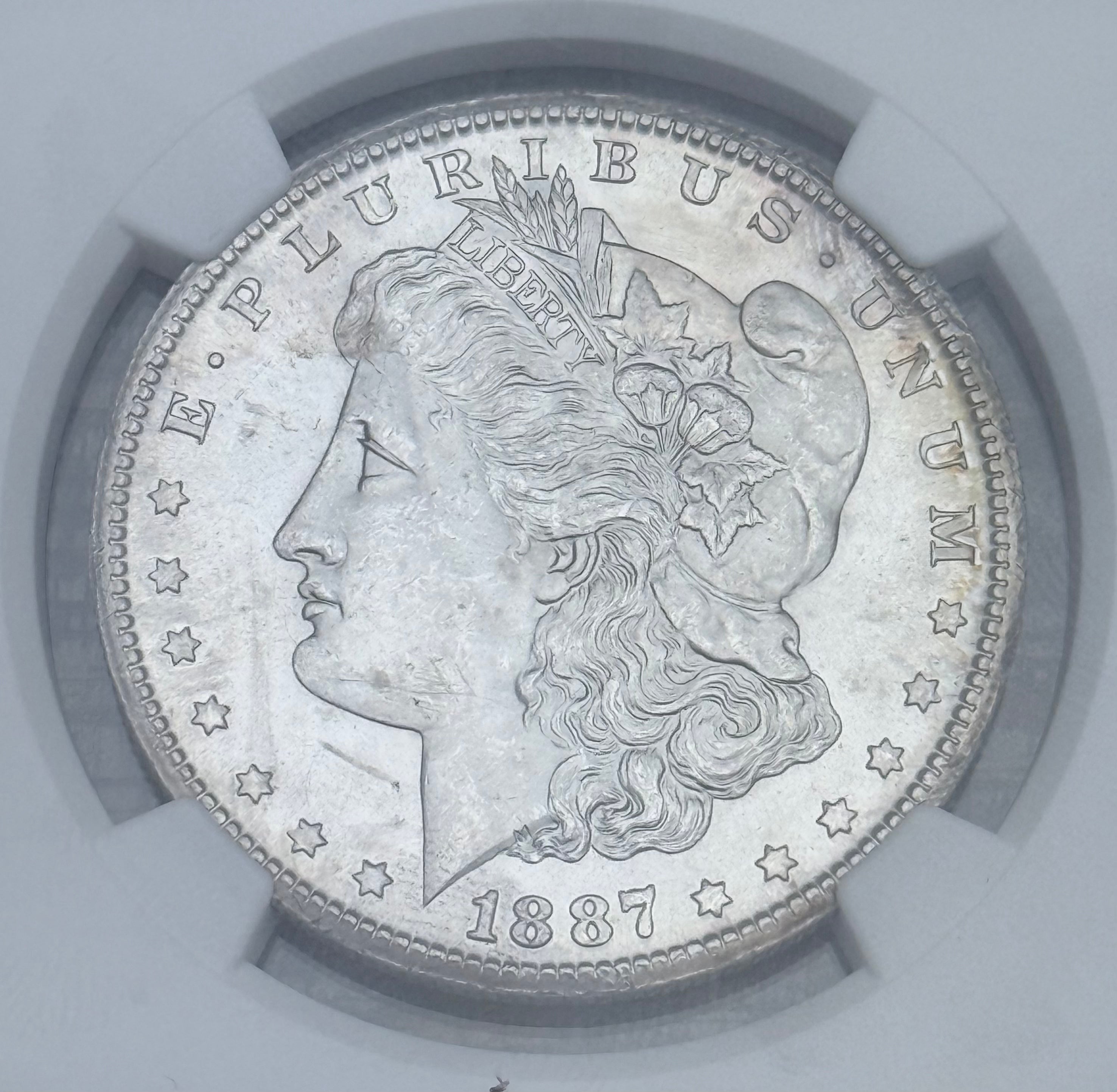1887 $1 US Morgan Silver Dollar NGC Uncirculated Details ~ Obverse Wheel Mark