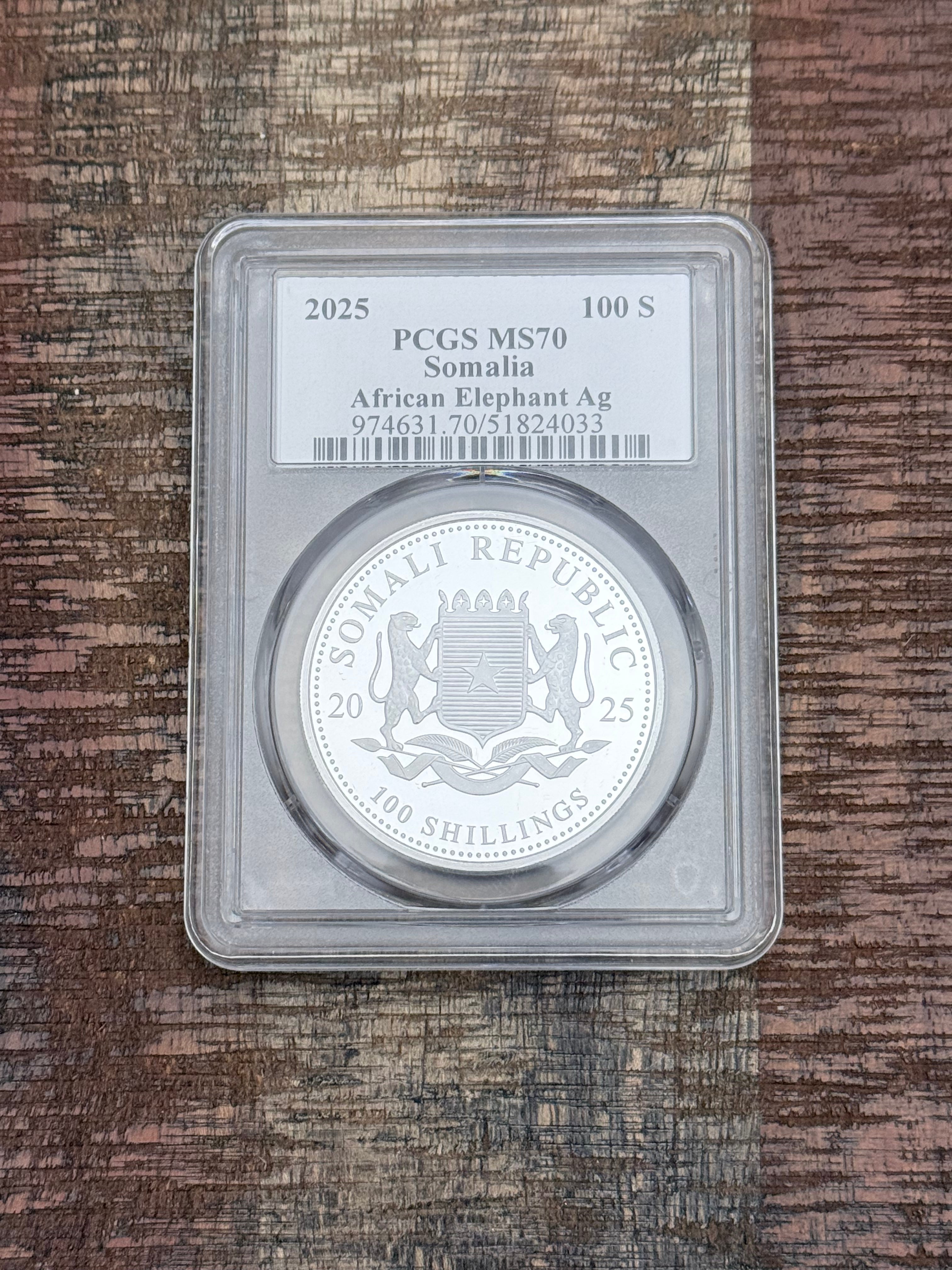2025 100S Somalia African Elephant Silver Shilling ~ PCGS MS70