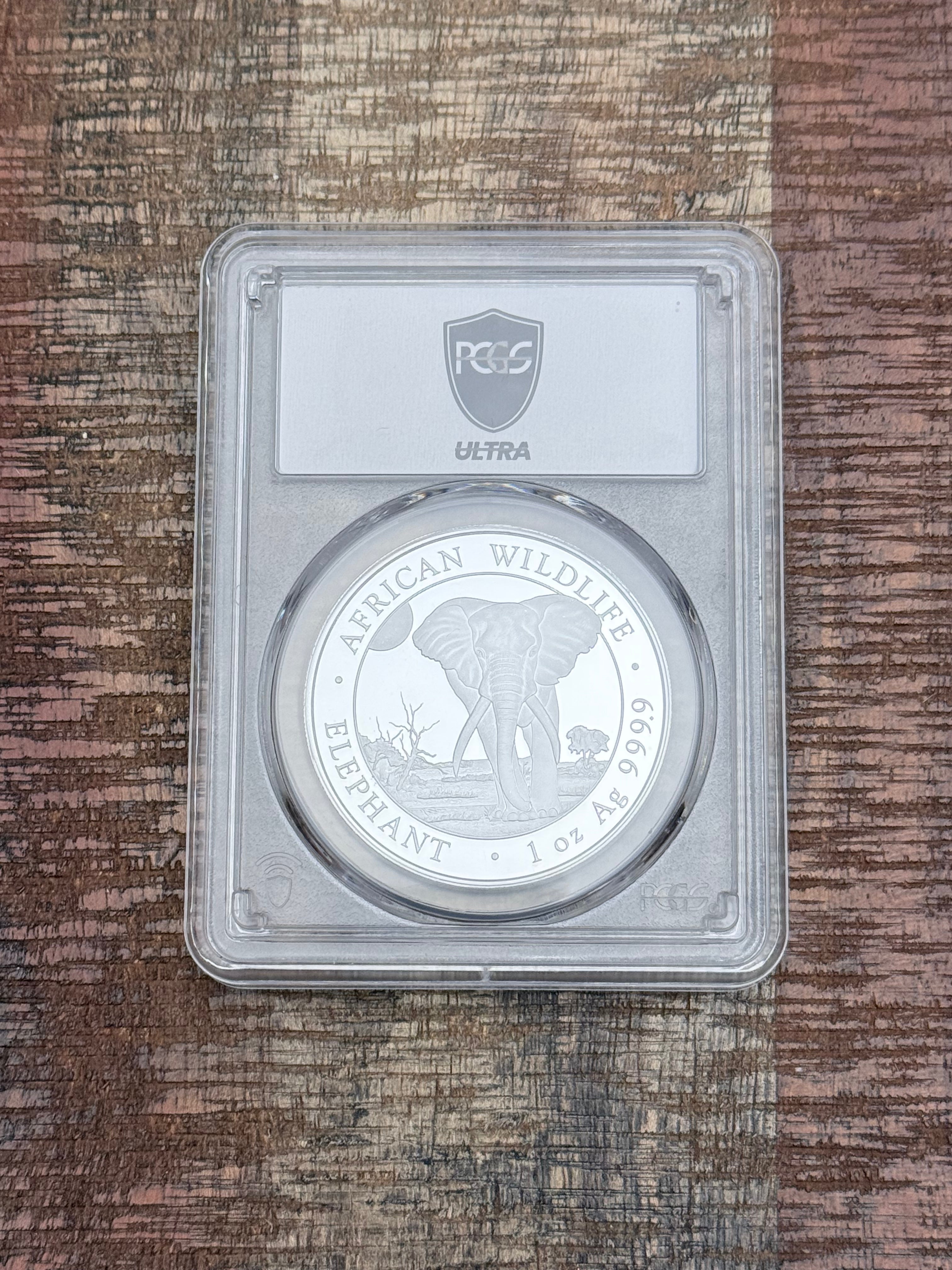 2025 100S Somalia African Elephant Silver Shilling ~ PCGS MS70