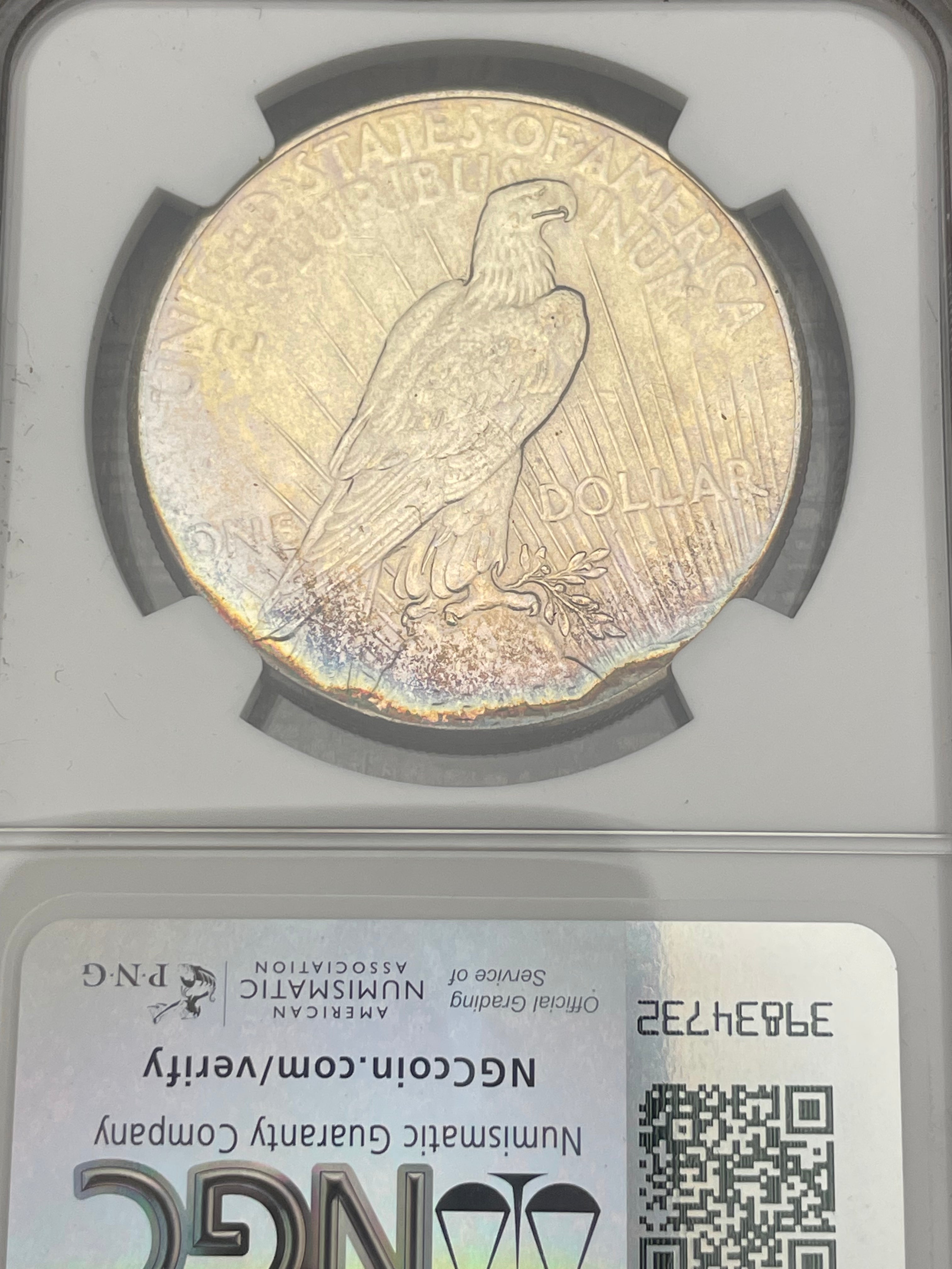 1925 $1 US Silver Peace Dollar NGC UNC Details ~ Cleaned ~ Beautifully Toned